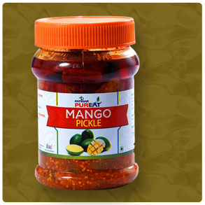 Patidar Agro - Pickle, Mango Pulp, Tomato Ketchup, Chutney, Paste Manufacturer & Exporter