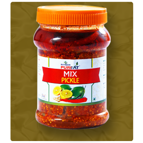 Patidar Agro - Pickle, Mango Pulp, Tomato Ketchup, Chutney, Paste Manufacturer & Exporter